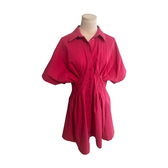 ANTHROPOLOGIE Exquise Tobie Button Front Pleated Shirt Dress Mini Pink Party M - Picture 3 of 8